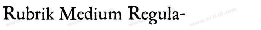 Rubrik Medium Regula字体转换